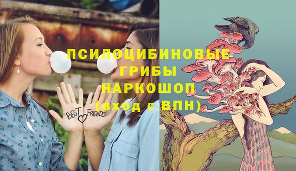 мяу мяу мука Алексин