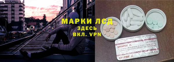 хмурый Нефтекумск