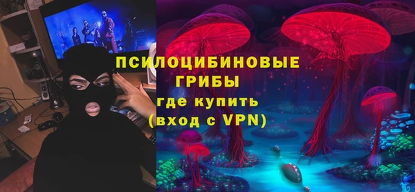мяу мяу мука Алексин