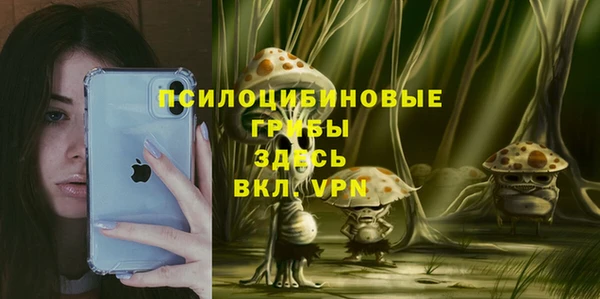 мяу мяу мука Алексин